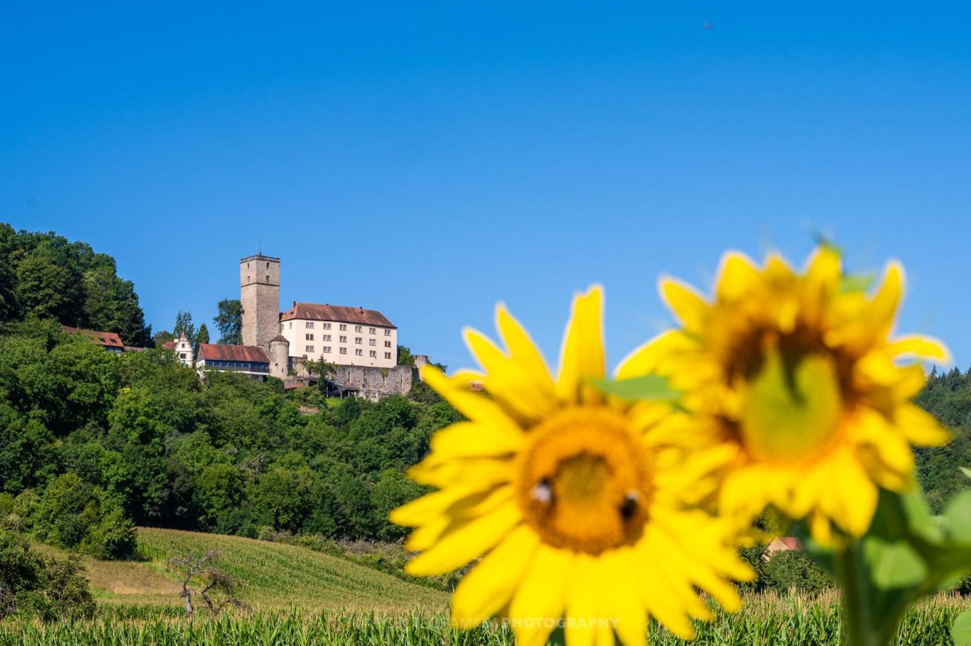Willa Wohnen Auf Der Ritterburg Haßmersheim Zewnętrze zdjęcie